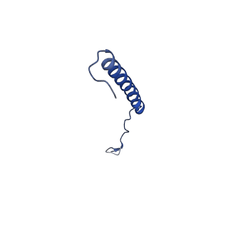 9945_6k7y_T_v1-2
Intact human mitochondrial calcium uniporter complex with MICU1/MICU2 subunits