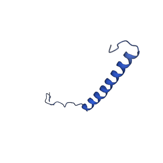 9945_6k7y_U_v1-1
Intact human mitochondrial calcium uniporter complex with MICU1/MICU2 subunits