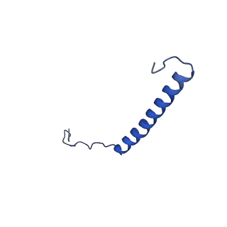 9945_6k7y_U_v1-2
Intact human mitochondrial calcium uniporter complex with MICU1/MICU2 subunits