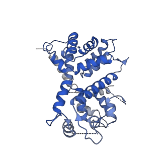 9945_6k7y_V_v1-1
Intact human mitochondrial calcium uniporter complex with MICU1/MICU2 subunits
