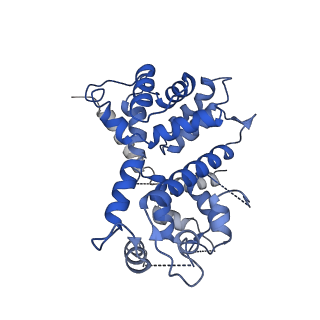 9945_6k7y_V_v1-2
Intact human mitochondrial calcium uniporter complex with MICU1/MICU2 subunits