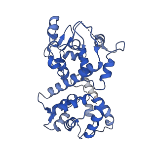 9945_6k7y_W_v1-1
Intact human mitochondrial calcium uniporter complex with MICU1/MICU2 subunits