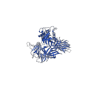 22729_7k8s_C_v1-1
Structure of the SARS-CoV-2 S 2P trimer in complex with the human neutralizing antibody Fab fragment, C002 (state 1)