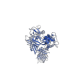 22731_7k8u_A_v1-2
Structure of the SARS-CoV-2 S 6P trimer in complex with the human neutralizing antibody Fab fragment, C104