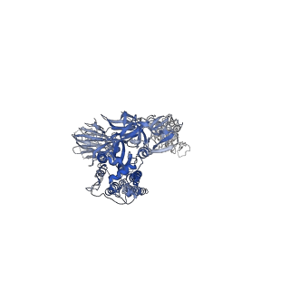 22731_7k8u_B_v1-2
Structure of the SARS-CoV-2 S 6P trimer in complex with the human neutralizing antibody Fab fragment, C104