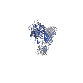 22731_7k8u_C_v1-2
Structure of the SARS-CoV-2 S 6P trimer in complex with the human neutralizing antibody Fab fragment, C104
