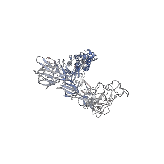 22732_7k8v_B_v1-1
Structure of the SARS-CoV-2 S 2P trimer in complex with the human neutralizing antibody Fab fragment, C110