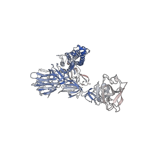 22733_7k8w_B_v1-1
Structure of the SARS-CoV-2 S 2P trimer in complex with the human neutralizing antibody Fab fragment, C119