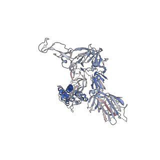 22733_7k8w_G_v1-1
Structure of the SARS-CoV-2 S 2P trimer in complex with the human neutralizing antibody Fab fragment, C119