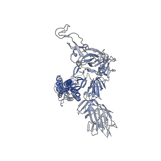 22734_7k8x_A_v1-1
Structure of the SARS-CoV-2 S 2P trimer in complex with the human neutralizing antibody Fab fragment, C121 (State 1)