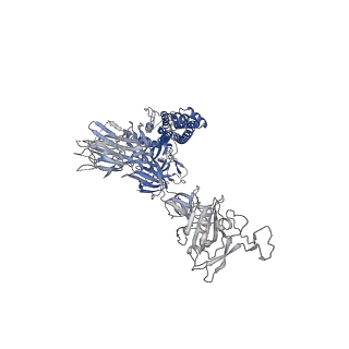 22734_7k8x_C_v1-1
Structure of the SARS-CoV-2 S 2P trimer in complex with the human neutralizing antibody Fab fragment, C121 (State 1)