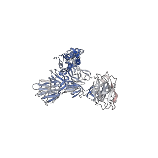22736_7k8z_B_v1-1
Structure of the SARS-CoV-2 S 2P trimer in complex with the human neutralizing antibody Fab fragment, C135