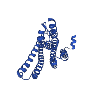 36948_8k8e_C_v1-1
Human gamma-secretase in complex with a substrate mimetic