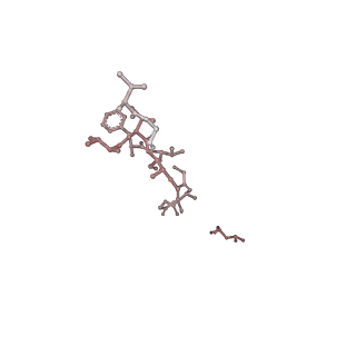 36948_8k8e_G_v1-0
Human gamma-secretase in complex with a substrate mimetic