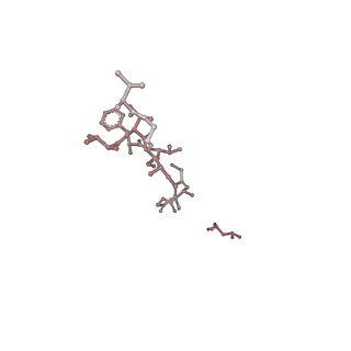 36948_8k8e_G_v1-1
Human gamma-secretase in complex with a substrate mimetic