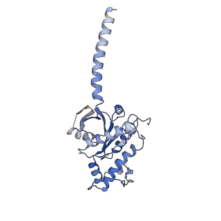 36951_8k8j_A_v1-0
Cannabinoid Receptor 1 bound to Fenofibrate coupling MiniGsq and Nb35 Complex