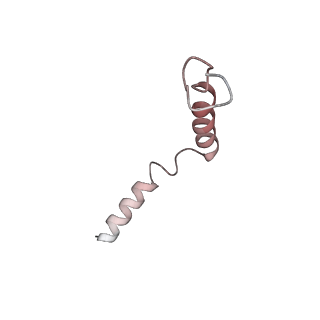 36951_8k8j_G_v1-0
Cannabinoid Receptor 1 bound to Fenofibrate coupling MiniGsq and Nb35 Complex