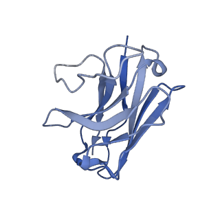 36951_8k8j_N_v1-0
Cannabinoid Receptor 1 bound to Fenofibrate coupling MiniGsq and Nb35 Complex