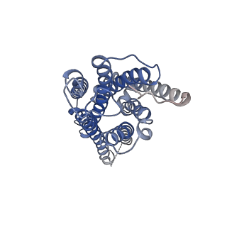 36951_8k8j_R_v1-0
Cannabinoid Receptor 1 bound to Fenofibrate coupling MiniGsq and Nb35 Complex