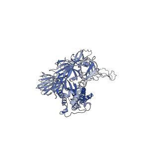 22737_7k90_A_v1-1
Structure of the SARS-CoV-2 S 6P trimer in complex with the human neutralizing antibody Fab fragment, C144