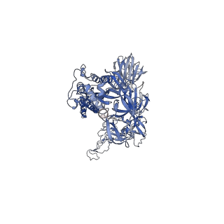 22737_7k90_B_v1-1
Structure of the SARS-CoV-2 S 6P trimer in complex with the human neutralizing antibody Fab fragment, C144