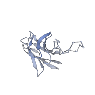 22737_7k90_O_v1-1
Structure of the SARS-CoV-2 S 6P trimer in complex with the human neutralizing antibody Fab fragment, C144