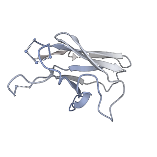 22737_7k90_P_v1-1
Structure of the SARS-CoV-2 S 6P trimer in complex with the human neutralizing antibody Fab fragment, C144