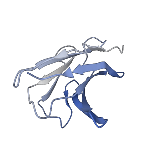 22749_7k9i_L_v1-2
SARS-CoV-2 Spike RBD in complex with neutralizing Fab 2B04 (local refinement)