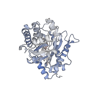 22754_7k9l_A_v1-1
Aldolase, rabbit muscle (no beam-tilt refinement)