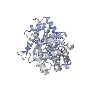 22754_7k9l_C_v1-1
Aldolase, rabbit muscle (no beam-tilt refinement)