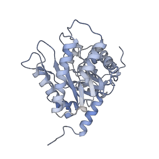 22754_7k9l_D_v1-1
Aldolase, rabbit muscle (no beam-tilt refinement)