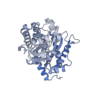 22755_7k9x_A_v1-1
Aldolase, rabbit muscle (beam-tilt refinement x1)