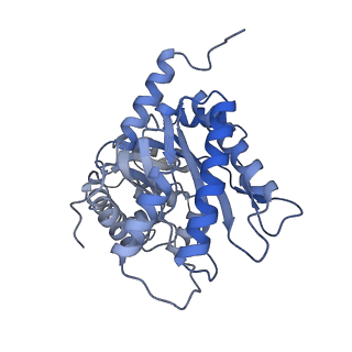 22755_7k9x_B_v1-0
Aldolase, rabbit muscle (beam-tilt refinement x1)