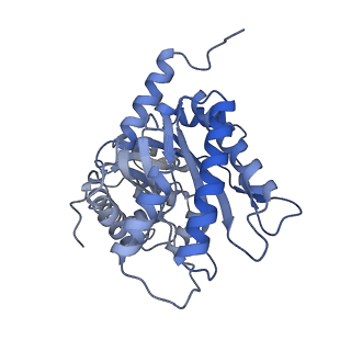 22755_7k9x_B_v1-1
Aldolase, rabbit muscle (beam-tilt refinement x1)