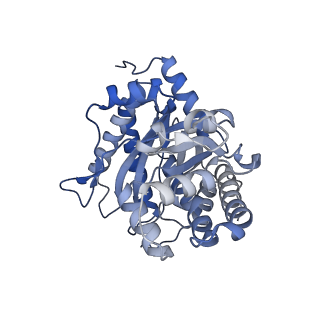 22755_7k9x_C_v1-1
Aldolase, rabbit muscle (beam-tilt refinement x1)