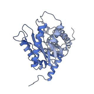 22755_7k9x_D_v1-0
Aldolase, rabbit muscle (beam-tilt refinement x1)