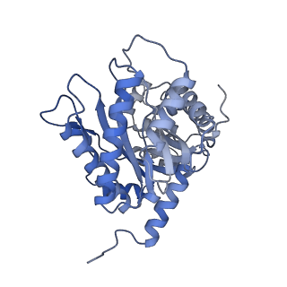 22755_7k9x_D_v1-1
Aldolase, rabbit muscle (beam-tilt refinement x1)