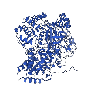 36984_8k9e_B_v1-0
Cryo-EM structure of the photosynthetic alternative complex III from Chloroflexus aurantiacus at 3.3 angstrom