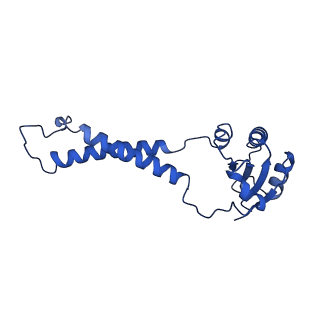 36984_8k9e_D_v1-0
Cryo-EM structure of the photosynthetic alternative complex III from Chloroflexus aurantiacus at 3.3 angstrom