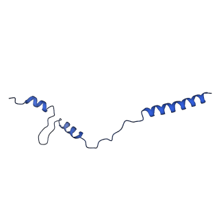 36984_8k9e_G_v1-0
Cryo-EM structure of the photosynthetic alternative complex III from Chloroflexus aurantiacus at 3.3 angstrom