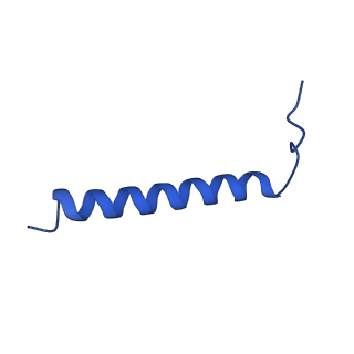 36984_8k9e_I_v1-0
Cryo-EM structure of the photosynthetic alternative complex III from Chloroflexus aurantiacus at 3.3 angstrom