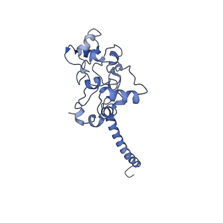 36985_8k9f_A_v1-0
Cryo-EM structure of the photosynthetic alternative complex III from Chloroflexus aurantiacus at 2.9 angstrom