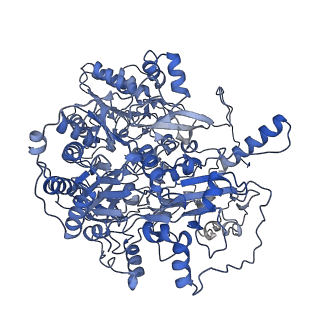 36985_8k9f_B_v1-0
Cryo-EM structure of the photosynthetic alternative complex III from Chloroflexus aurantiacus at 2.9 angstrom