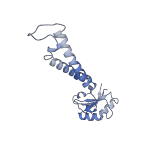 36985_8k9f_D_v1-0
Cryo-EM structure of the photosynthetic alternative complex III from Chloroflexus aurantiacus at 2.9 angstrom