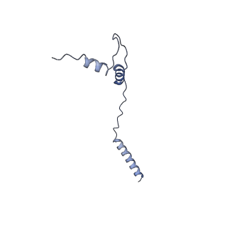 36985_8k9f_G_v1-0
Cryo-EM structure of the photosynthetic alternative complex III from Chloroflexus aurantiacus at 2.9 angstrom