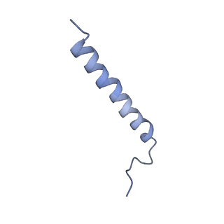 36985_8k9f_I_v1-0
Cryo-EM structure of the photosynthetic alternative complex III from Chloroflexus aurantiacus at 2.9 angstrom