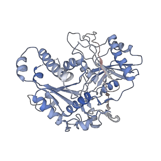 36986_8k9g_A_v1-1
Cryo-EM structure of Crt-SPARTA-gRNA-tDNA dimer (conformation-1)