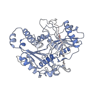 36986_8k9g_A_v1-2
Cryo-EM structure of Crt-SPARTA-gRNA-tDNA dimer (conformation-1)