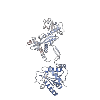 36986_8k9g_B_v1-1
Cryo-EM structure of Crt-SPARTA-gRNA-tDNA dimer (conformation-1)