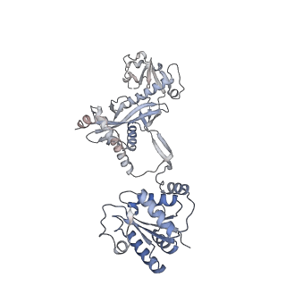 36986_8k9g_B_v1-2
Cryo-EM structure of Crt-SPARTA-gRNA-tDNA dimer (conformation-1)